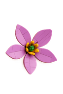Plante décorative