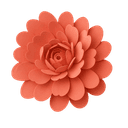 Plante décorative