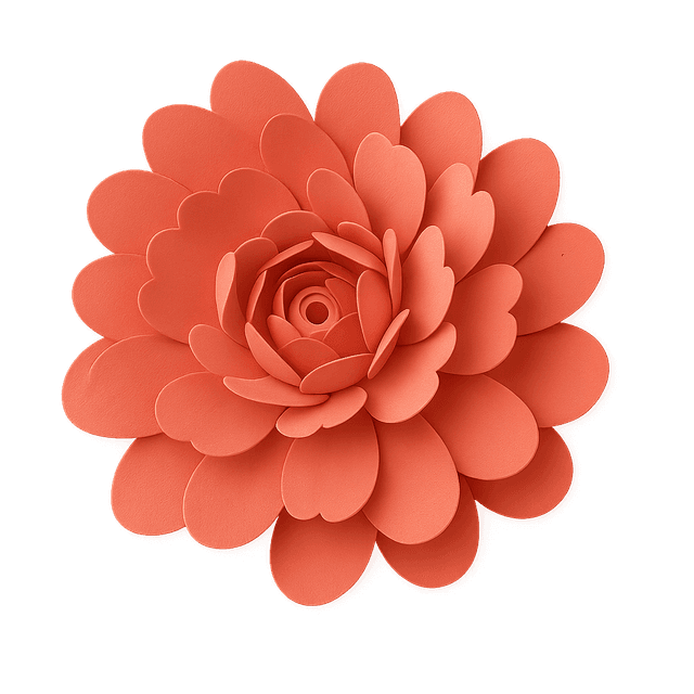 Plante décorative